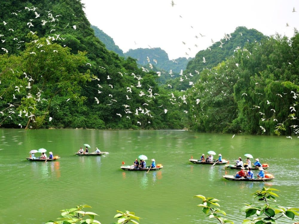 Thung-nham-bird-garden