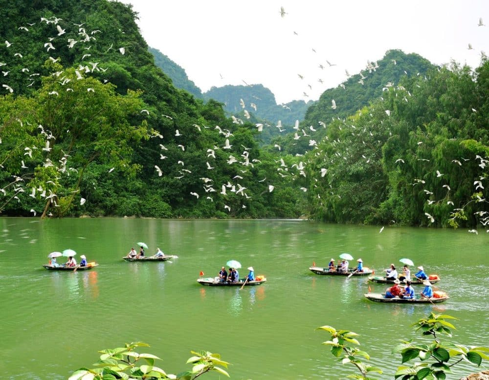 Thung-nham-bird-garden