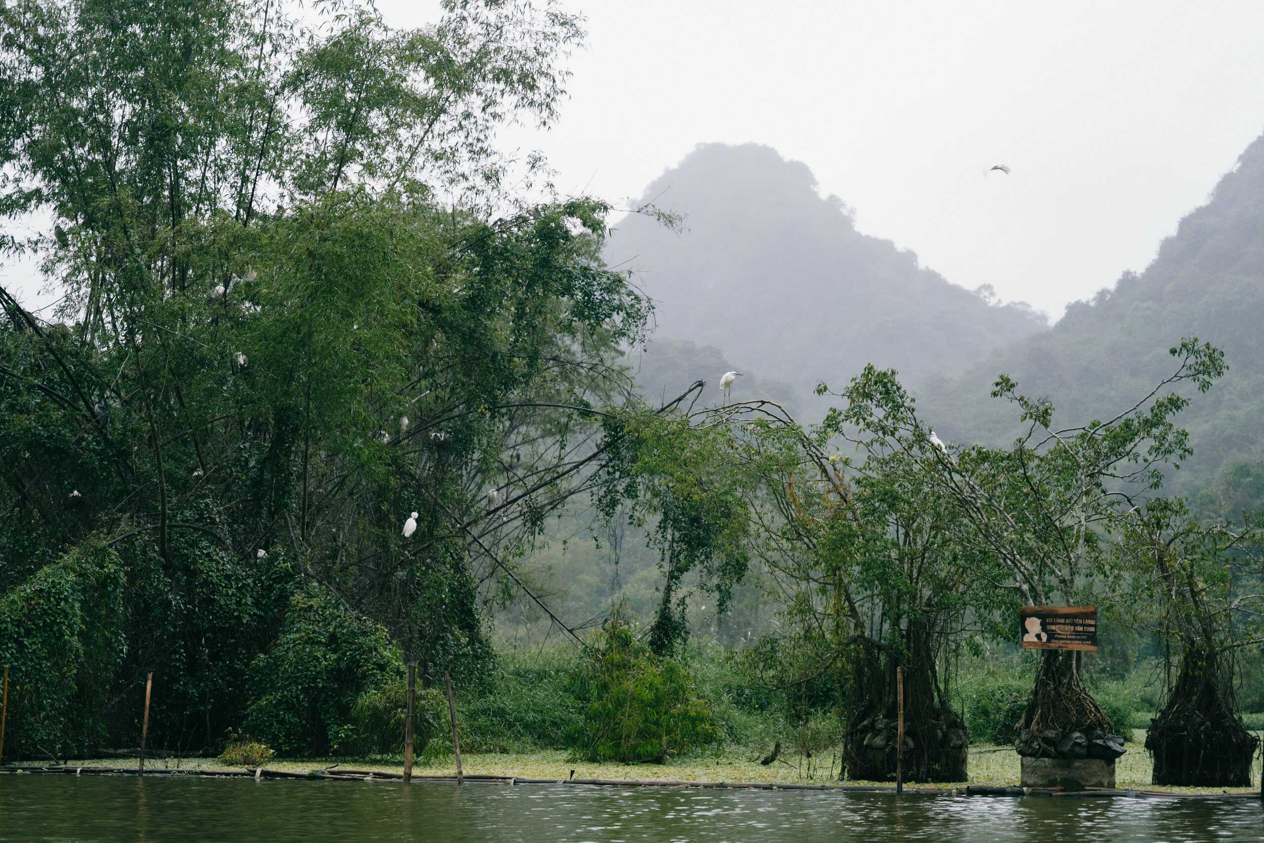 visit-thung-nham-bird-park-by-boat