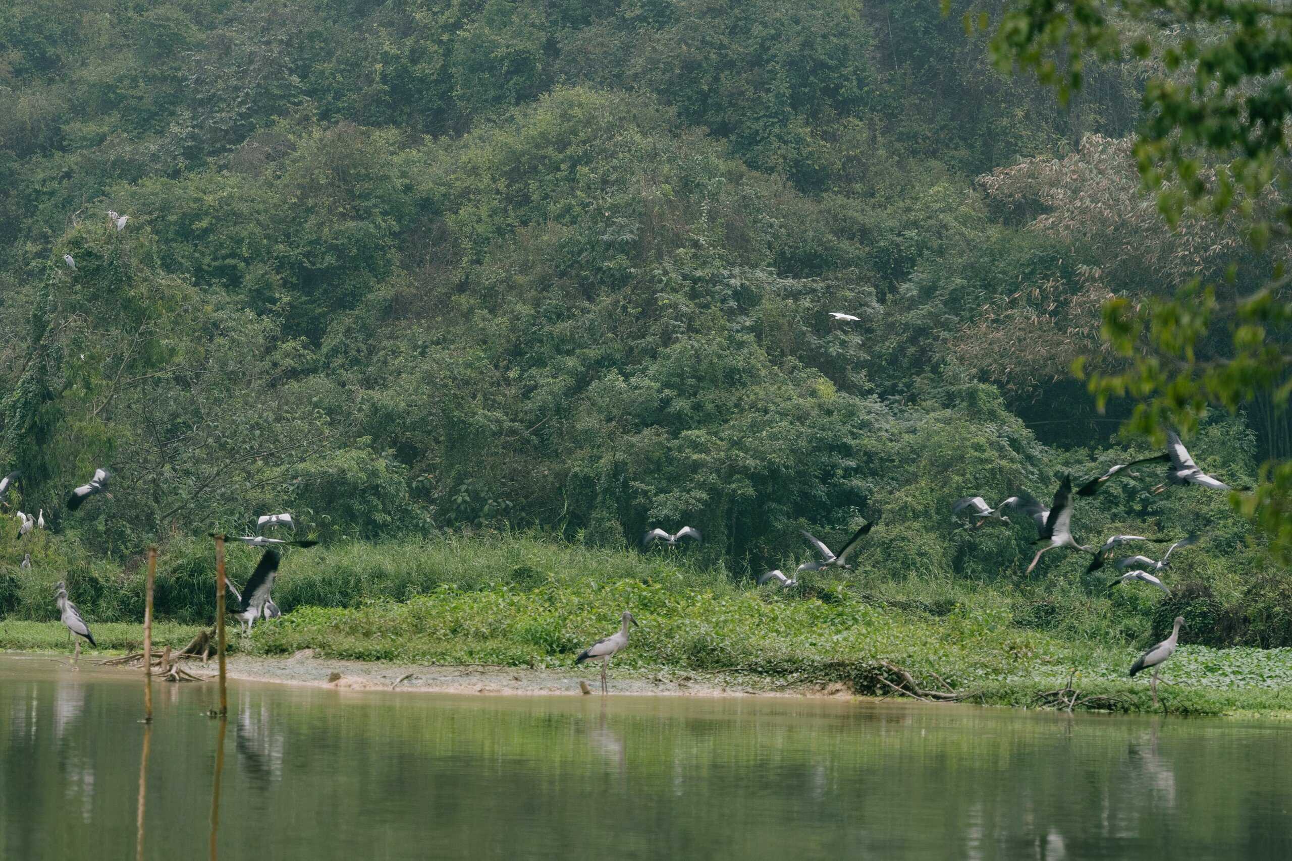 the-bird-watching-area-in-thung-nham-park