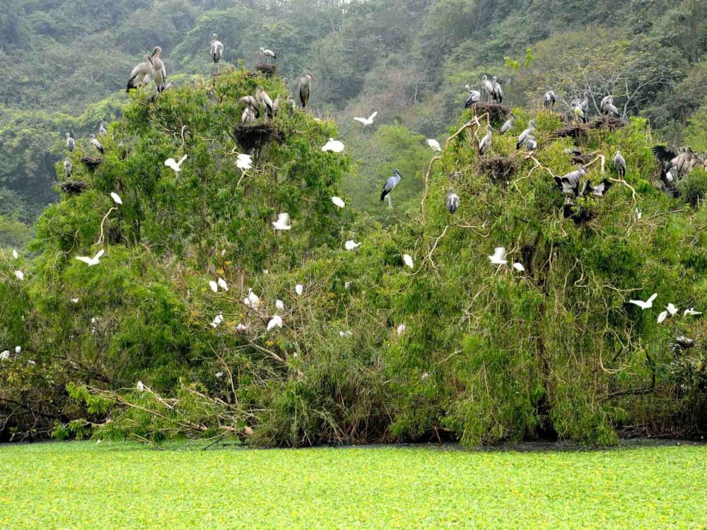 thung-nham-bird-garden-tour