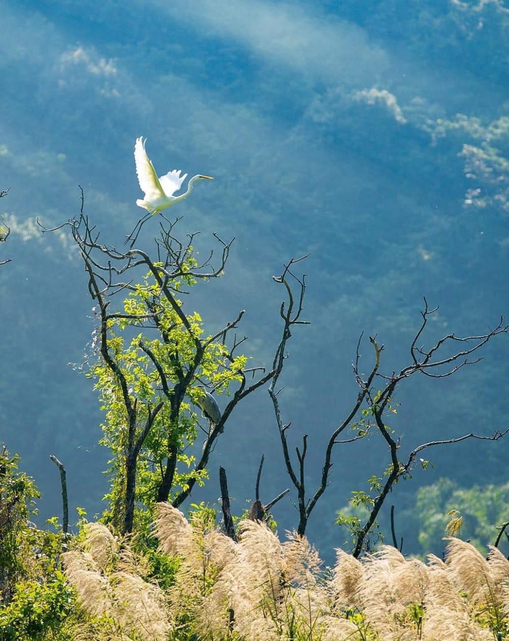 thung-nham-bird-garden-tour