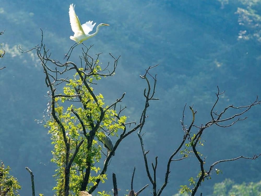 thung-nham-bird-garden-tour